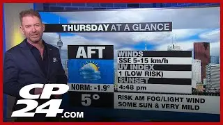 Toronto weather: Mild, foggy Thursday ahead of Friday cool off