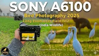 📸 &ldquo;Sony A6100 Bird Photography 2025 | Long Zoom Lens Field Test (India Wildlife)&rdquo; 
