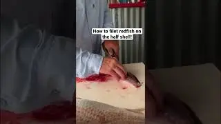 How to filet redfish on the half shell!