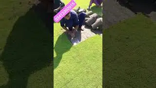 👉👉 Mehar Grass Farm👇👇      ☘️🍀Fine Dhaka Grass Corpit.20 all Pakistan WhatsApp number 03077141110