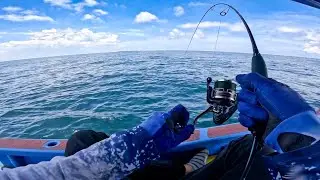 Hujan Badai Berlalu,, Sambaran Ikan Ganas di Spot