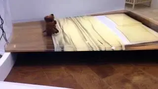 The Rydis Shadow Cleaning