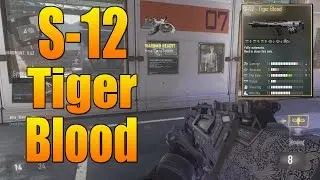 Advanced Warfare Elite Weapons - S-12 Tiger Blood (Call of Duty AW Gun Variant)