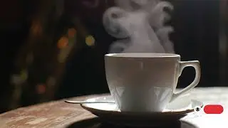 Soft Piano Jazz Music With Forest Sounds | Relax Book Cafe In Town With Fall !