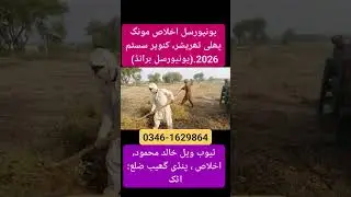 Universal Ikhlas Mongphalli thresher 2026, peanut thresher, #agriculture #farming