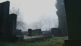 Home to Pickleberry Trailer