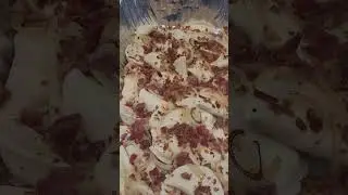 bacon and perogies #onions #potatoes #cheese