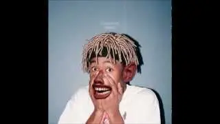 Tyler, the Creator - Domo23