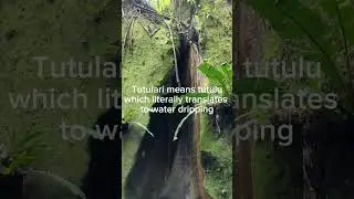 Going to Tutulari Avatar Gorge