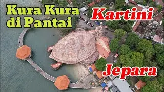 WOW !! Ada Kura Kura Raksasa di Pantai Kartini Jepara