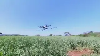 Drones help California farmers cut down on costs