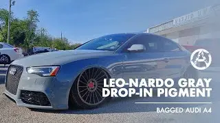 LEO-NARDO GRAY DROP-IN PIGMENT | AUTOFLEX COATINGS | BAGGED AUDI A4