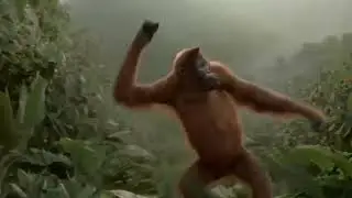 RANGO STAY CLOCK'N DAT + (DANCE PARODY)