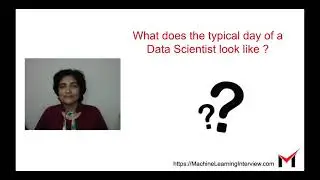What does the typical day of a data scientist look like ?