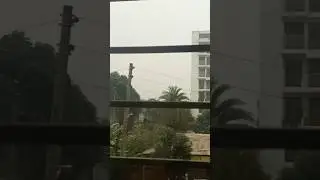 শীতের রুক্ষ প্রকৃতি 🥶🌴#shortsfeed  #nature #shorts #shortvideo #winter #viralshorts #coldweather