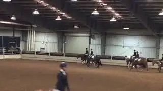 NSBA World colour youth equitation top Ten pattern and rail