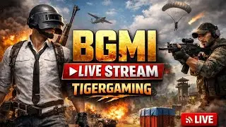 Tiger Gaming  is live
