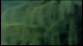 Stephane Audran - La Rupture.mov