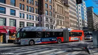 WMATA Metrobus NEW!!! 2020 New Flyer Xcelsior XD60 In Action