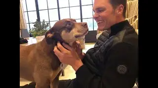 Cloning your deceased dog is okay.?