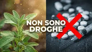 Piante Sacre di Potere