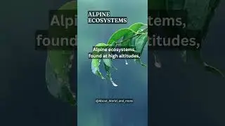 Alpine ecosystems