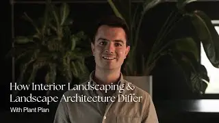 Why Interior Landscaping Isn't the Same as Landscape Architecture