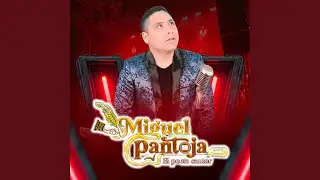 Mendigo de Amor