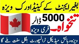 Office jobs vacancies in Canada with visa Sponsorship 2024 | Canada free work visa online apply