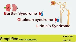 Bartter syndrome , Gitelman syndrome , Liddle's Syndrome | simplified for NEET PG | INICET