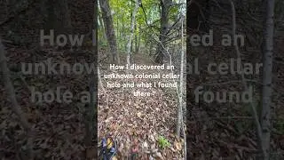 Finding cellar holes to metal detect #metaldetecting #detecting #treasure #detectinghistory #minelab