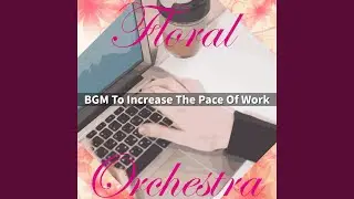 The Beat of the Week