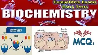 Biochemistry | Enzymology MCQs