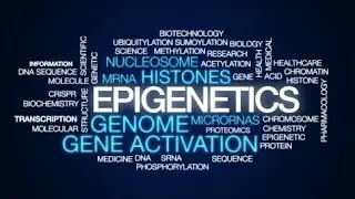 Epigenetic| Organism adaptation toward environment change| Research on Epigenetic