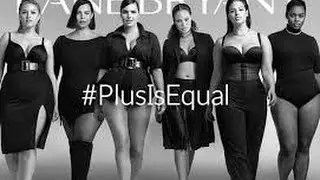 Lane Bryant And Wet Seal Plus