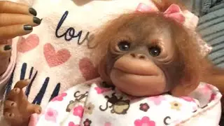 It’s cheeky monkey Monday 🐵🍌
