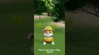 🐶 How To Survive A Dog Attack 💥(Hey stars!⭐! Please like and subscribe us) #shorts #survival #tips