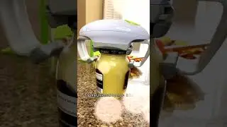 Stop Fighting With Stubborn Jars! 😤 Smart Kitchen Gadgets 2026। #short #USA #nextgenhomeusa
