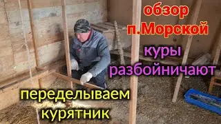 Ейск. Юра переделывает курятник. Куры оборзели. Ремонт квартиры под ключ. п. Морской...