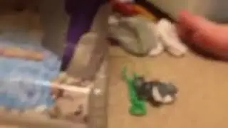 Playtime with the lion guard with mommy and kion hobby frog hobbybear hobby pig .