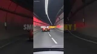 SMELL OF MONEY😇🤤 |Billionaire🔥Inspirational motivation Quotes | #shorts #attitude_whatsapp_status ❤️