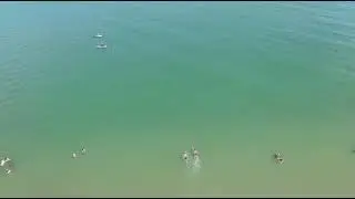 Praia da Daniela 28/12/25 #memes #beaches #litoral #florian&oacute;polis 