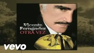 Vicente Fern&aacute;ndez - Alitas (Cover Audio)