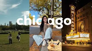 fall for CHICAGO 𐔌՞ ܸ.ˬ.ܸ՞𐦯🍂