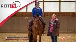 Westernreiten lernen: Training fürs erste Turnier