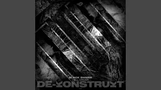 Black Swarm (Original Mix)
