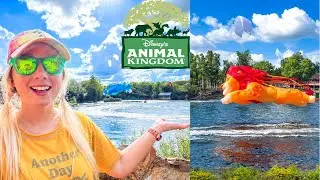 Disney's Animal Kingdom Kite Tails (BOTH SHOWS + Funny Landings), Tree of Life Lights Up & More!