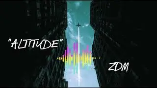 💔 ZDM 