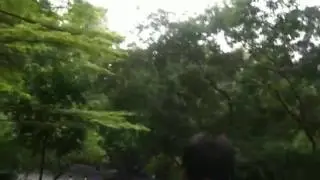 Five Ram Statue in Yuexiu Park 10.MOV