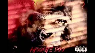 Moonie 900 x Message 3 (Audio)